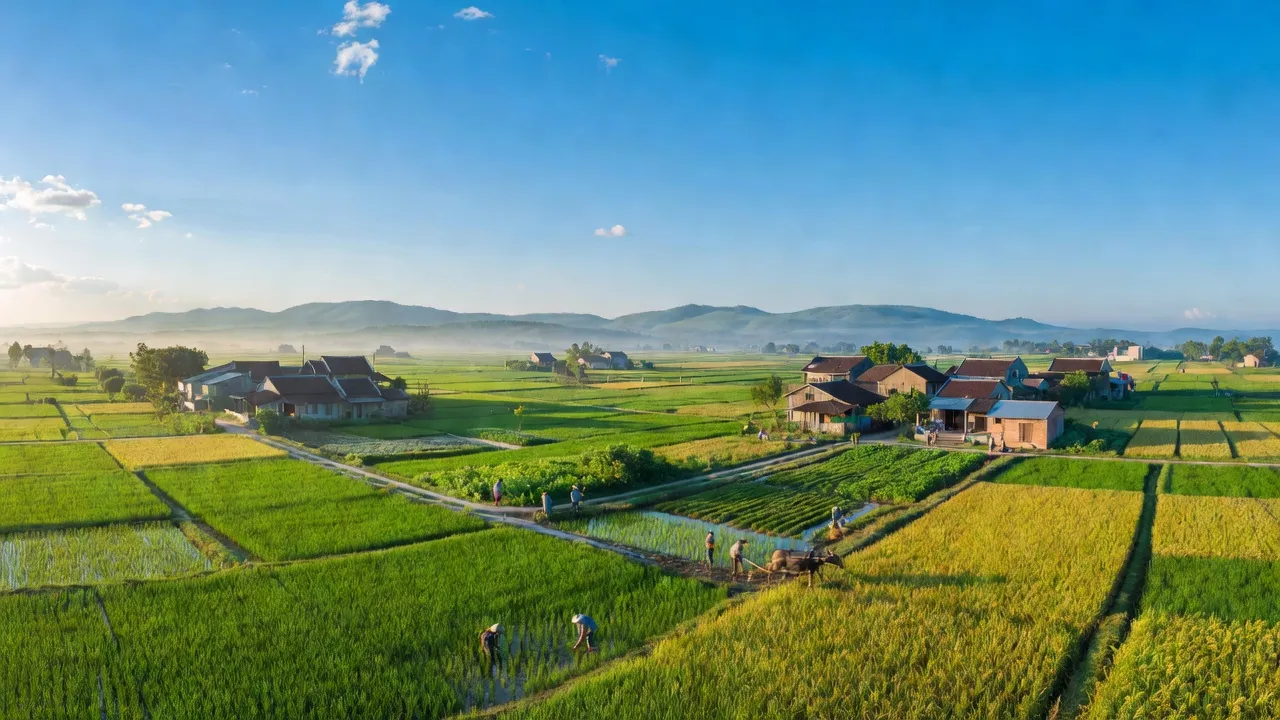 Xã Đại Cường, Huyện Ứng Hòa, Thành phố Hà Nội