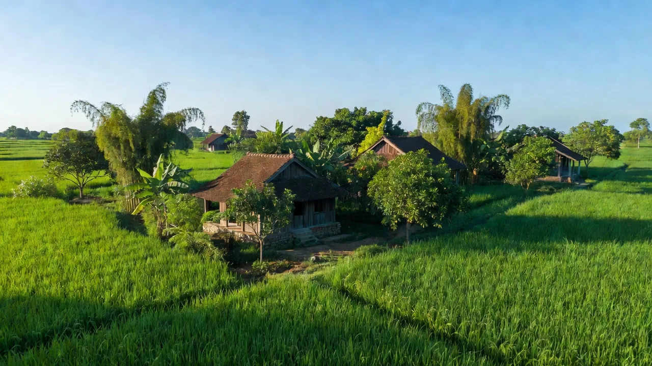Phương Tú - hình ảnh minh họa 1