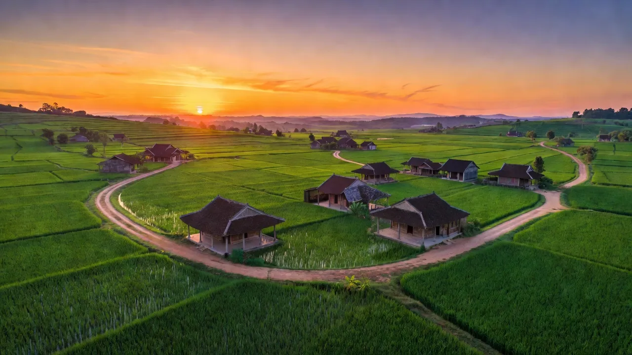 Cảnh quan thiên nhiên xã Cẩm Lạc với cánh đồng xanh, nhà truyền thống và hoàng hôn.