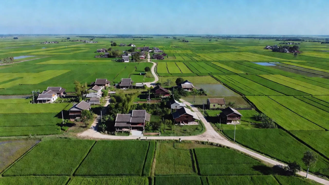 Khung cảnh xã Nam Phúc Thăng, huyện Cẩm Xuyên, tỉnh Hà Tĩnh với cánh đồng xanh tươi và nhà truyền thống.