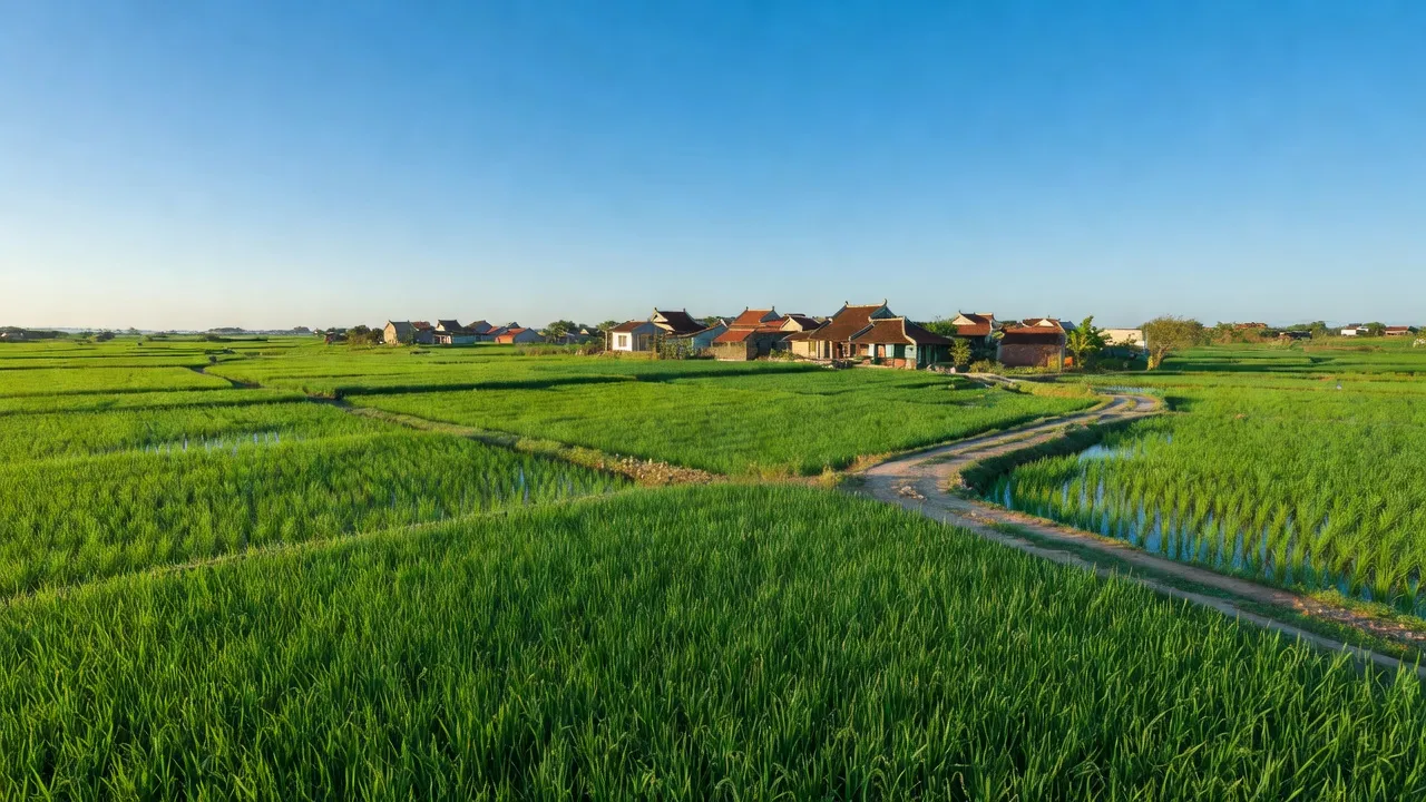 Cảnh đồng ruộng xanh tại xã Đức Đồng, huyện Đức Thọ, Hà Tĩnh, nông thôn Việt Nam.