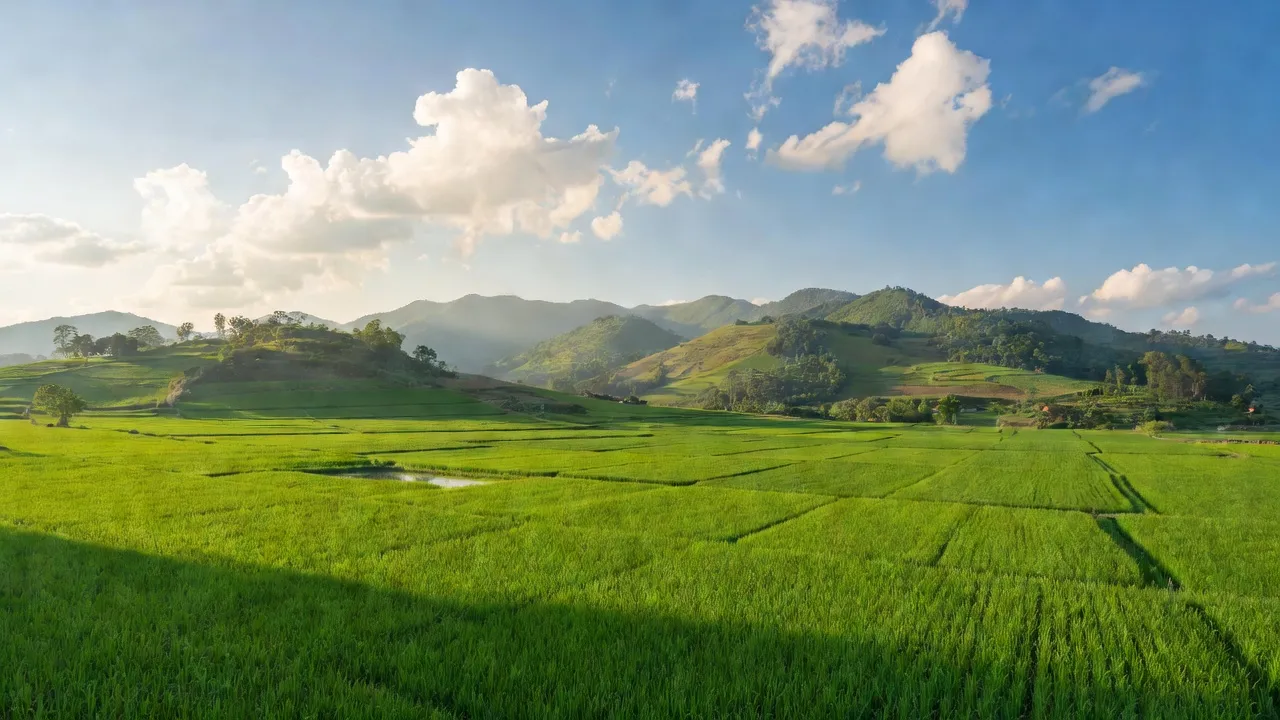 Cảnh sắc thiên nhiên tươi đẹp xã Hòa Lạc, Đức Thọ, Hà Tĩnh với cánh đồng và đồi xanh.