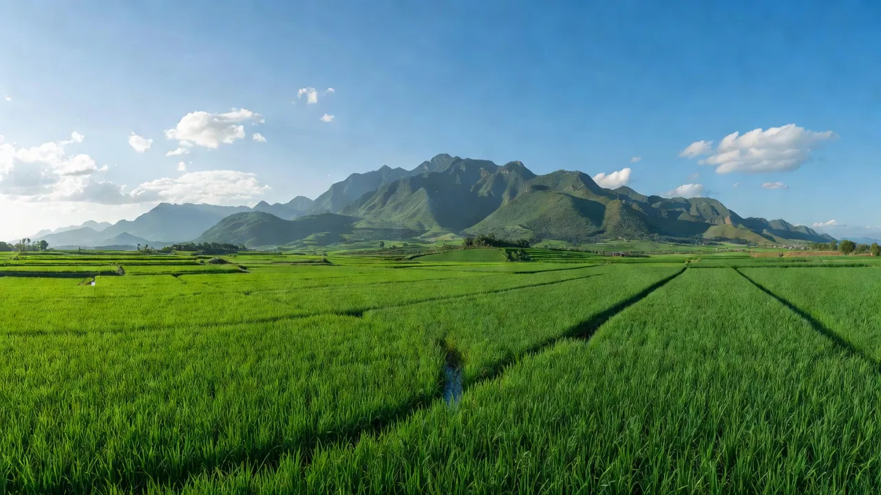 Cảnh đồng ruộng xanh và núi non ở xã Kim Hoa, huyện Hương Sơn, tỉnh Hà Tĩnh.