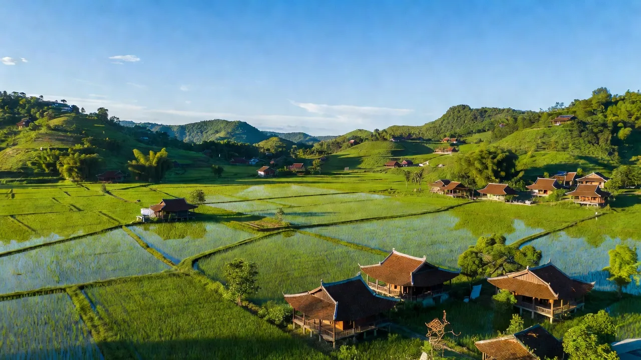 Cảnh sắc xã Ngọc Sơn, huyện Thạch Hà, tỉnh Hà Tĩnh với đồng lúa xanh và nhà truyền thống.