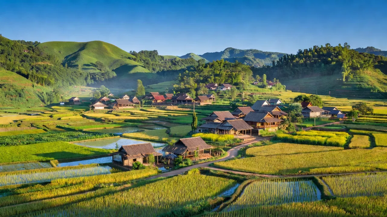 Quang Thọ - hình ảnh minh họa 1