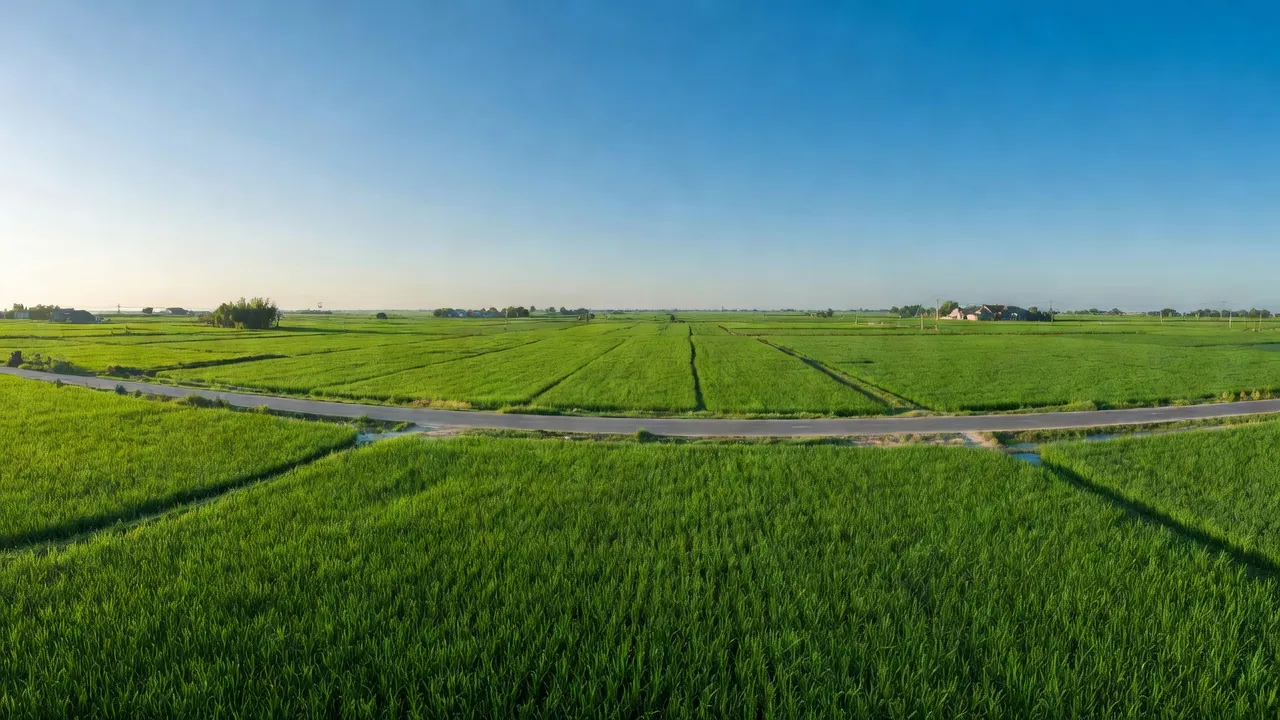 Xã Long Xuyên, Huyện Bình Giang, Tỉnh Hải Dương
