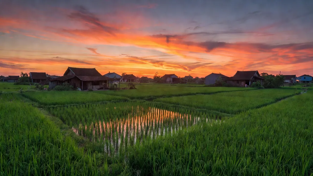 Khung cảnh nông thôn tại xã Vĩnh Hồng, huyện Bình Giang, tỉnh Hải Dương với đồng ruộng và nhà cửa truyền thống.