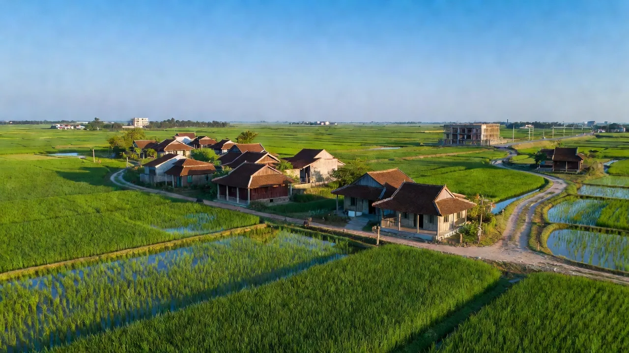 Cảnh sắc xã Cẩm Hoàng, huyện Cẩm Giàng, tỉnh Hải Dương với cánh đồng xanh và nhà truyền thống.