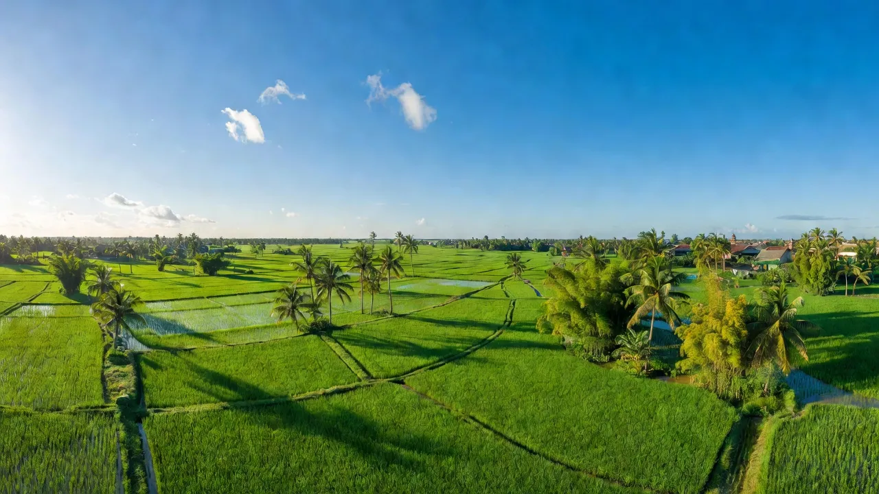 Khung cảnh Phường Văn An, Chí Linh, Hải Dương với cánh đồng xanh và bầu trời trong xanh.