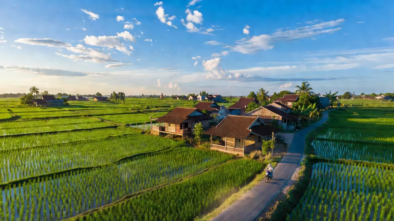 Cảnh đẹp xã Đoàn Thượng, huyện Gia Lộc, Hải Dương với cánh đồng lúa xanh tươi.