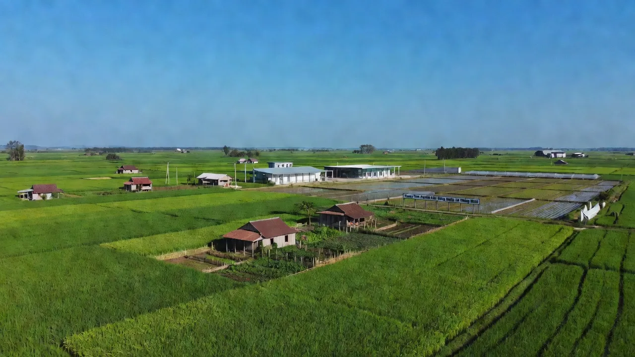 Khung cảnh Xã Thống Nhất, Gia Lộc, Hải Dương với cánh đồng xanh và cơ sở nghiên cứu nông nghiệp.