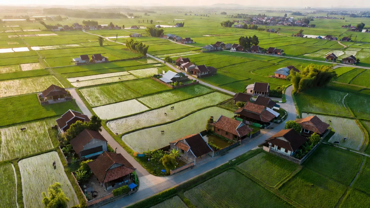 Khung cảnh xã Kim Xuyên, huyện Kim Thành, tỉnh Hải Dương với cánh đồng xanh và nhà truyền thống.