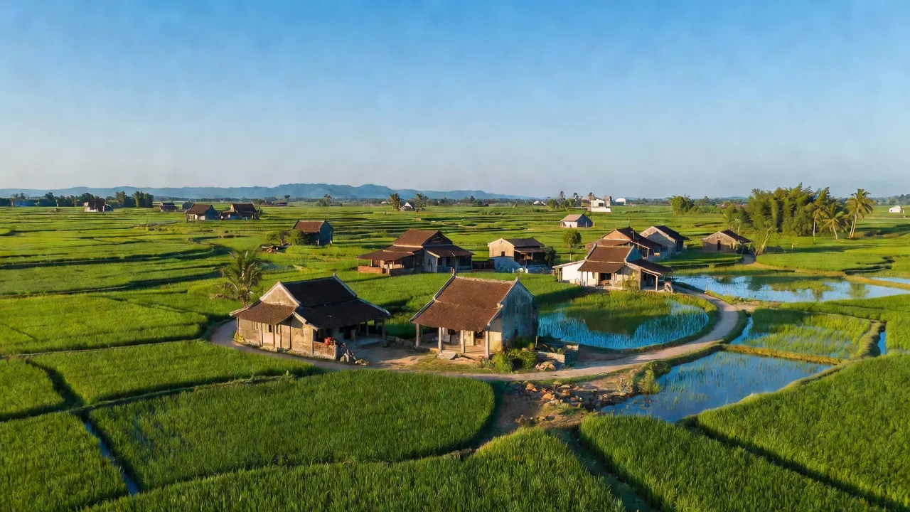 Cảnh đẹp xã Tuấn Việt, huyện Kim Thành, với cánh đồng lúa và nhà truyền thống, Hải Dương.