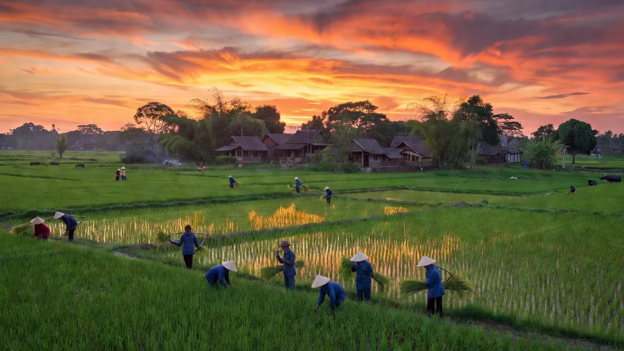 Xã Lê Ninh, Thị xã Kinh Môn, Tỉnh Hải Dương