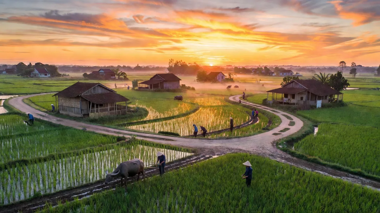 Xã Quang Thành, Thị xã Kinh Môn, Tỉnh Hải Dương
