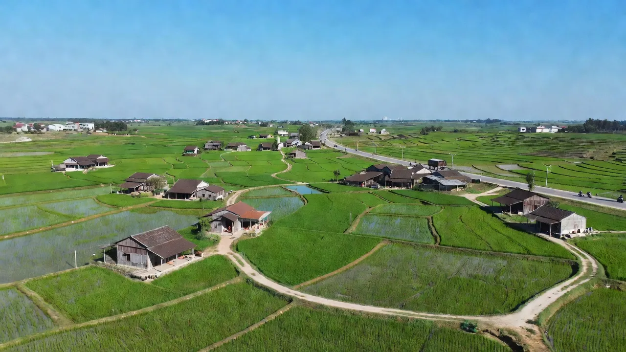 Khung cảnh Xã Trần Phú, Huyện Nam Sách, tỉnh Hải Dương với cánh đồng xanh và nhà dân.