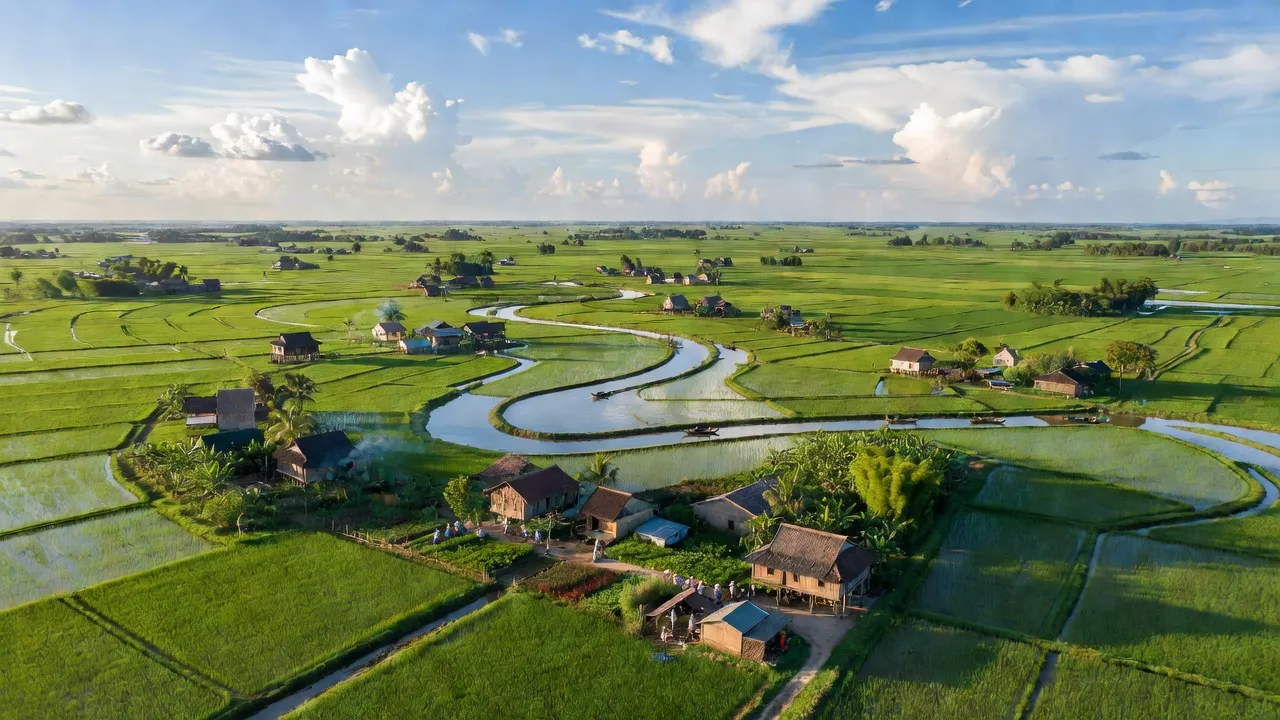 Cảnh quan đồng quê xã Chí Minh, Huyện Tứ Kỳ, tỉnh Hải Dương với đồng xanh và nhà truyền thống.
