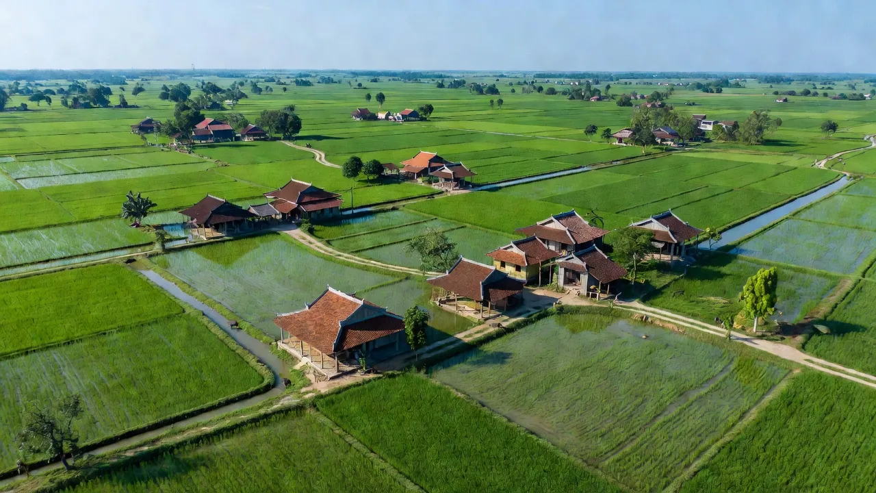 Cảnh đẹp xã Hà Kỳ, huyện Tứ Kỳ, tỉnh Hải Dương với cánh đồng xanh và nhà truyền thống.