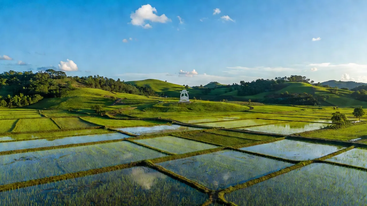 Khung cảnh đẹp huyện An Lão, Hải Phòng với cánh đồng xanh mướt và ngọn đồi, biểu tượng địa phương.