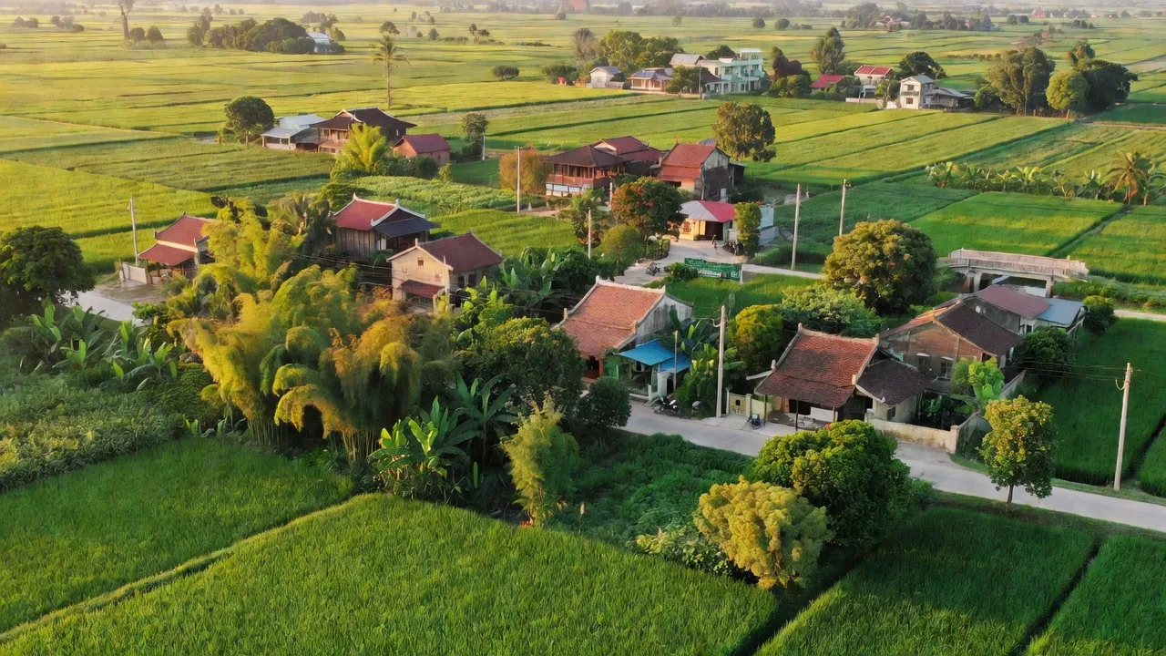 Khung cảnh xanh tươi của xã Du Lễ, huyện Kiến Thụy, Hải Phòng, với nông thôn và ngôi nhà truyền thống.