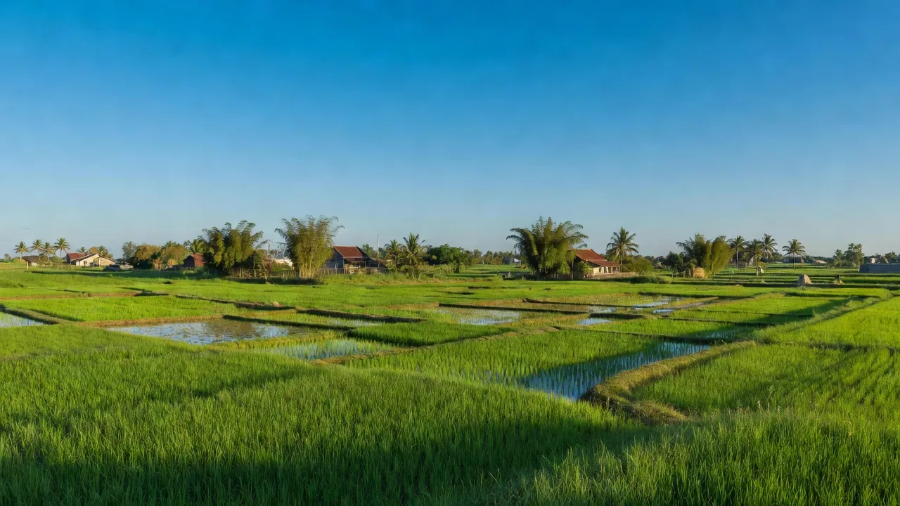 Kiến Quốc - hình ảnh minh họa 1