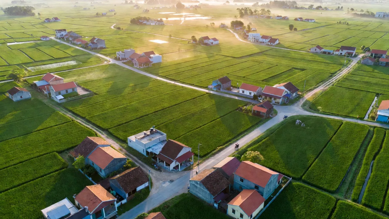 Cảnh đẹp Xã Tân Trào, huyện Kiến Thụy, Hải Phòng với cánh đồng xanh và kiến trúc hiện đại.