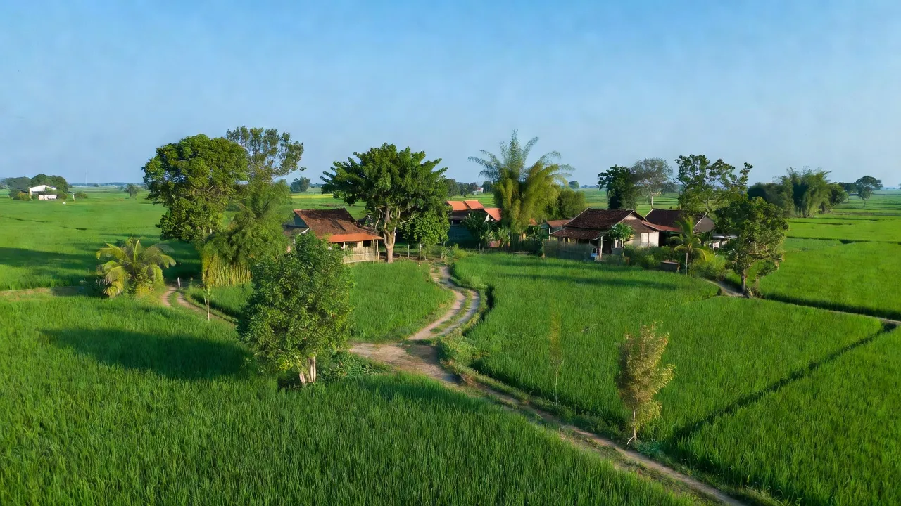 Cảnh đẹp xã Bắc Hưng, huyện Tiên Lãng, Hải Phòng với cánh đồng xanh và bầu trời trong.