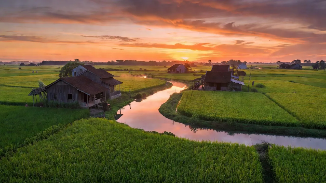 Khung cảnh đẹp của xã Đại Thắng, huyện Tiên Lãng, Hải Phòng với cánh đồng xanh và nhà truyền thống.