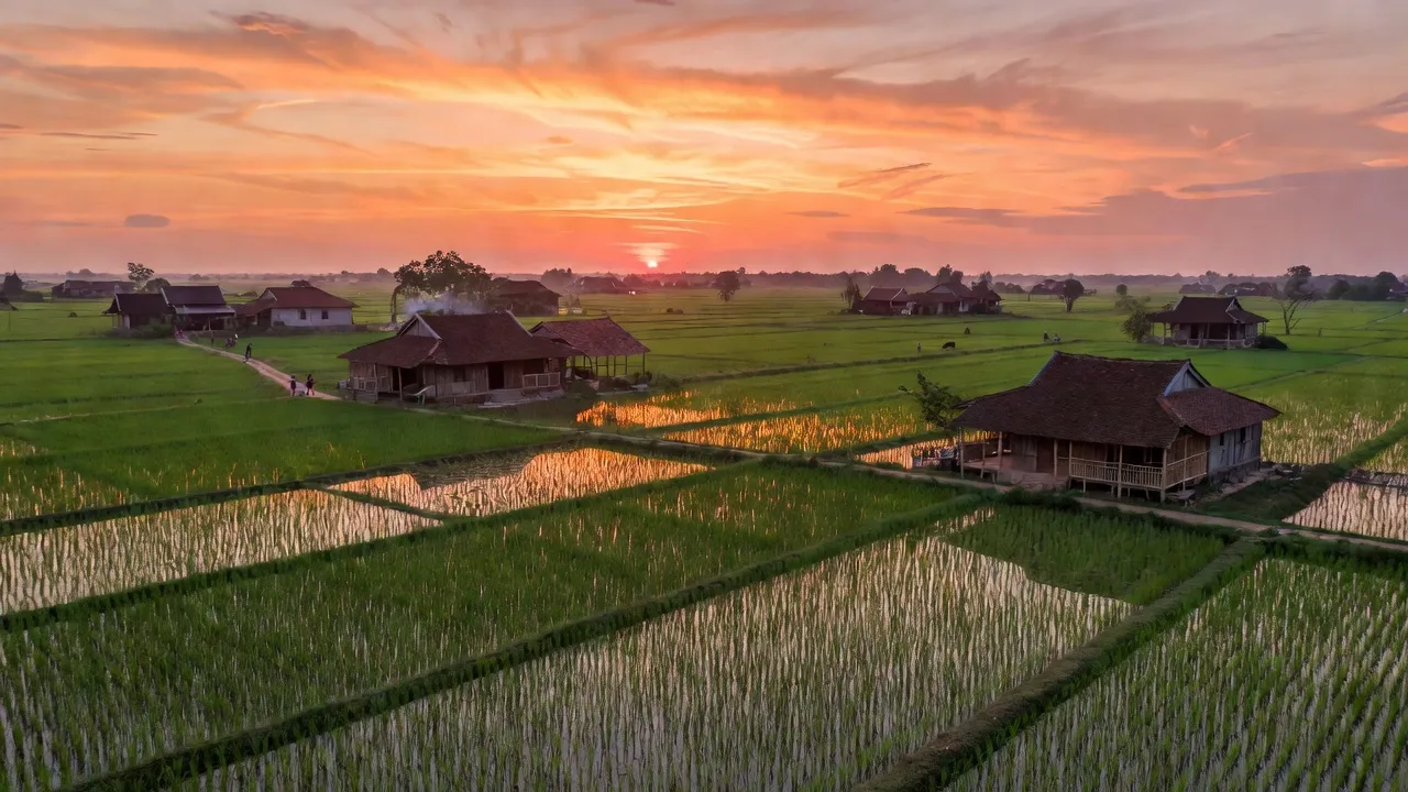 Xã Tây Hưng, Huyện Tiên Lãng, Thành phố Hải Phòng