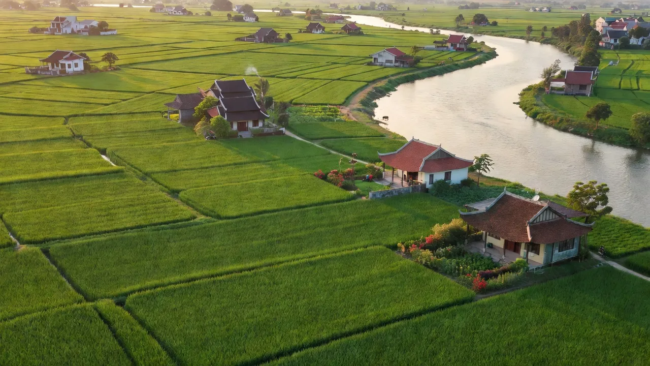 Xã Tiên Thanh, huyện Tiên Lãng, Hải Phòng với cảnh đồng xanh và sông Văn Úc, thể hiện vẻ đẹp nông thôn.