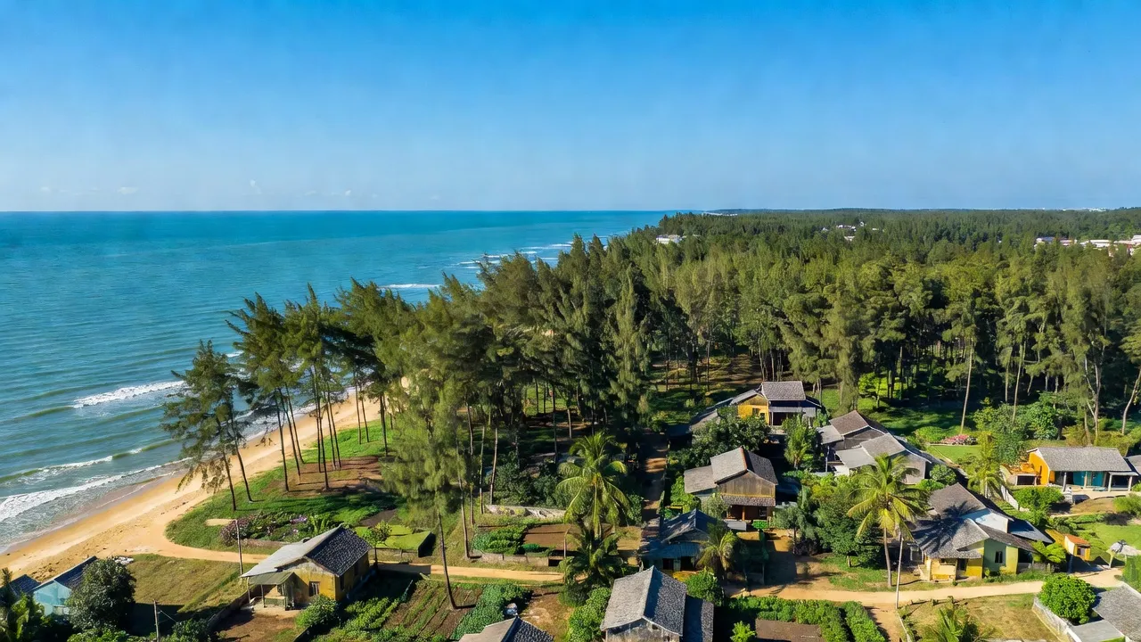 Cảnh quan xã Vinh Quang, huyện Tiên Lãng với biển, rừng phòng hộ và thôn xóm tương lai ở Hải Phòng.
