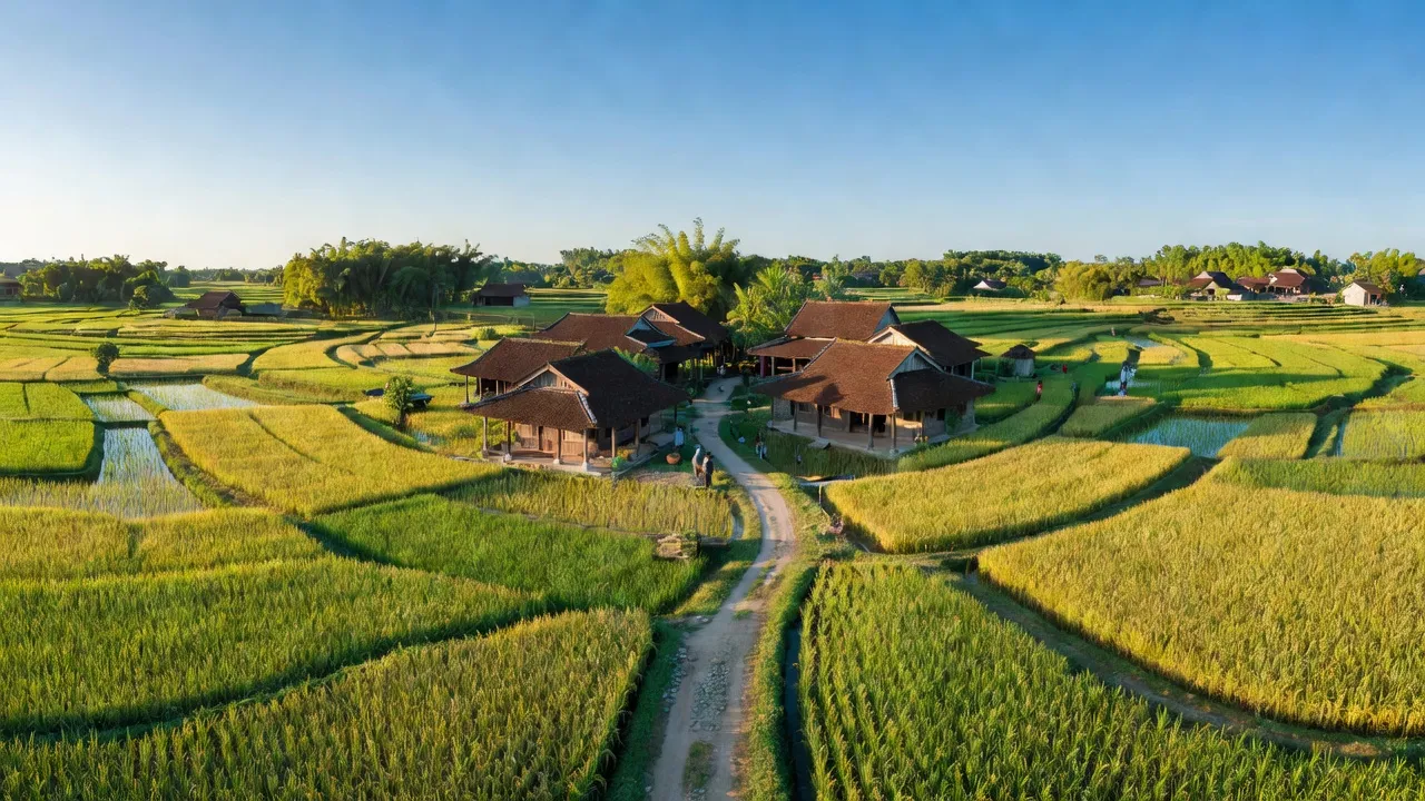 Cảnh đẹp xã Vĩnh Hưng, huyện Vĩnh Bảo, Hải Phòng với những cánh đồng xanh tươi và nhà truyền thống.