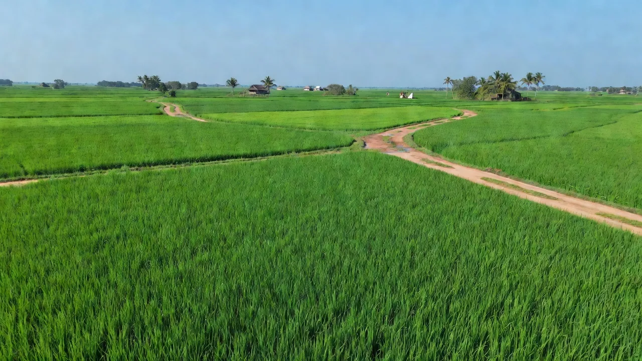 Xã Tân Phú Thạnh, Huyện Châu Thành A, Tỉnh Hậu Giang