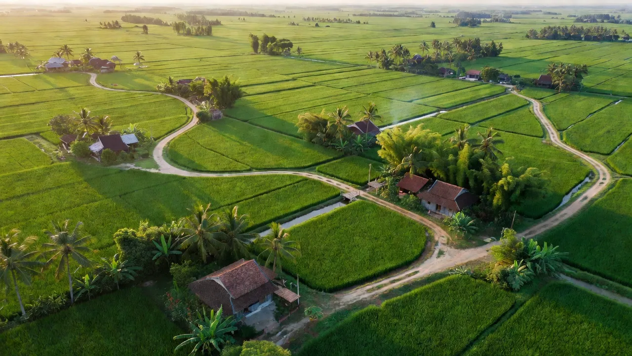Cảnh đồng bằng Trường Long Tây, Châu Thành A, Hậu Giang với ruộng lúa xanh, nhà cửa truyền thống.