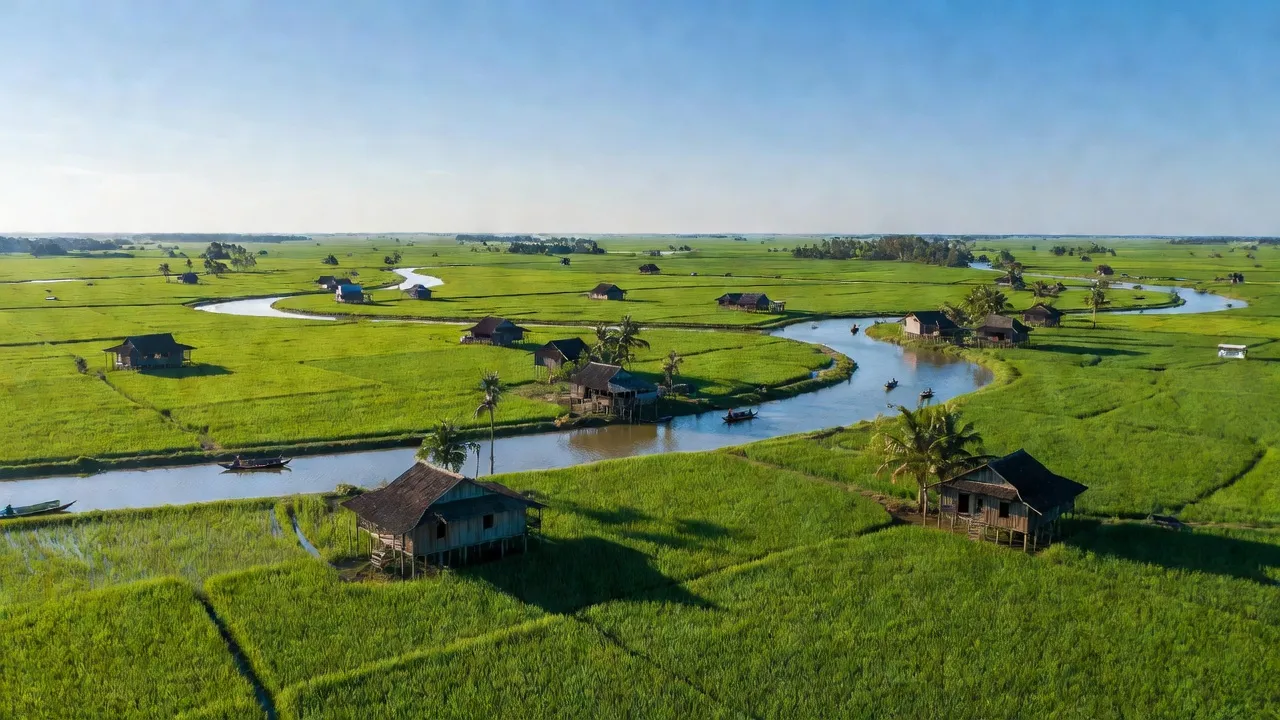 Khung cảnh hữu tình xã Hòa An, huyện Phụng Hiệp, tỉnh Hậu Giang với cánh đồng xanh và sông nước.