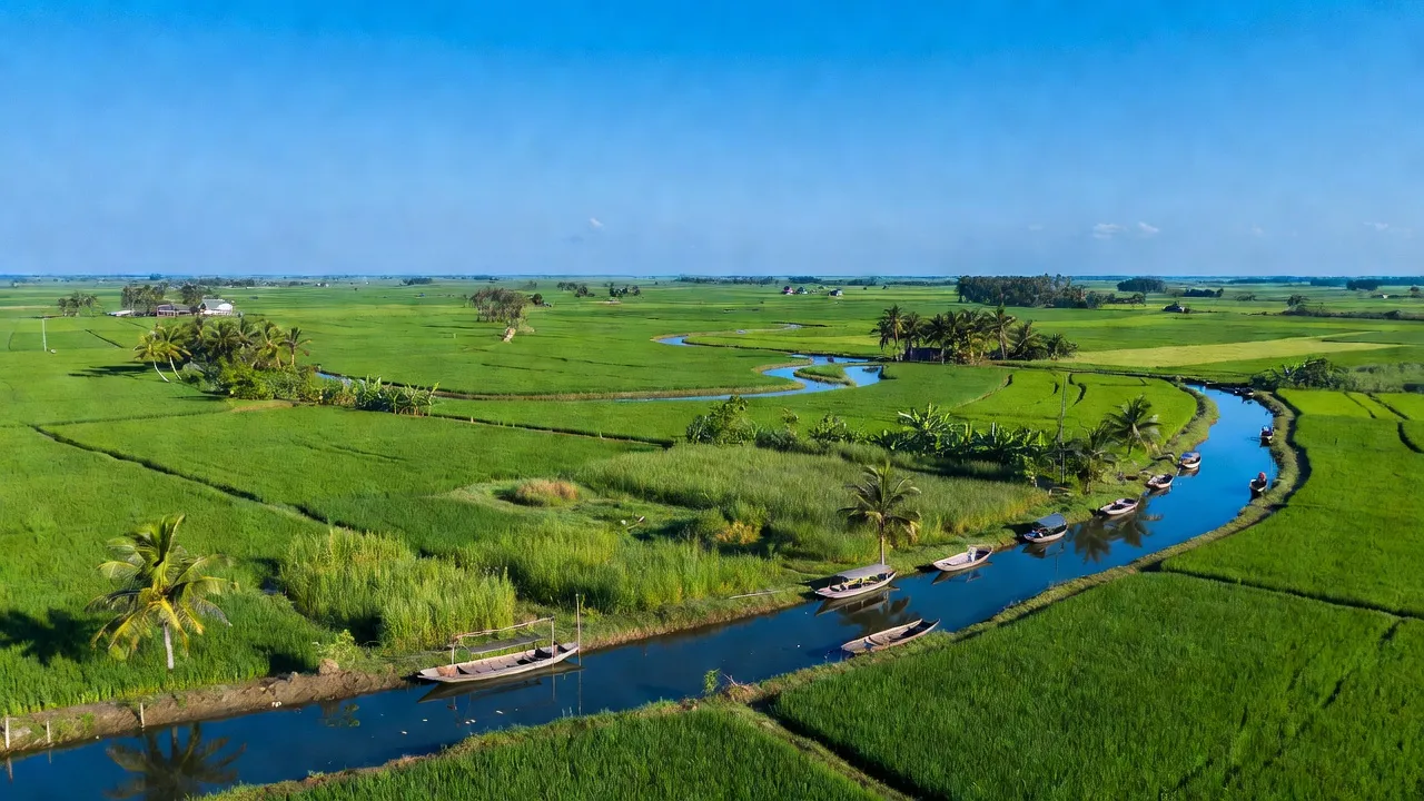 Xã Phương Bình, Huyện Phụng Hiệp, Tỉnh Hậu Giang