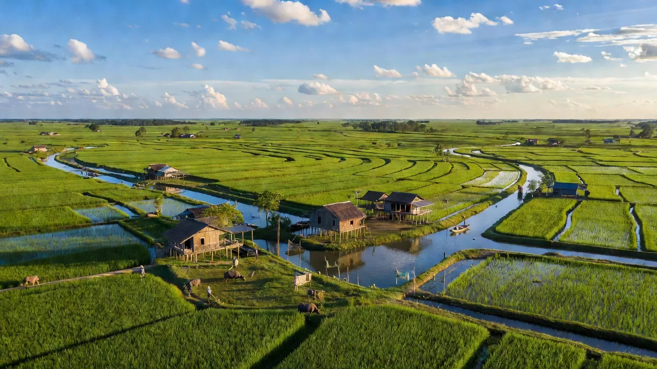 Xã Thạnh Hòa, Huyện Phụng Hiệp, Tỉnh Hậu Giang