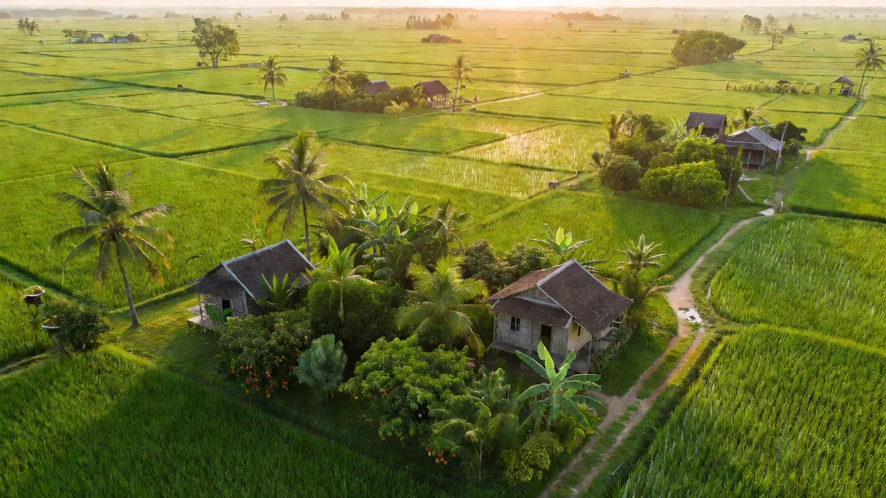 Xã Tân Tiến, Thành phố Vị Thanh, Tỉnh Hậu Giang