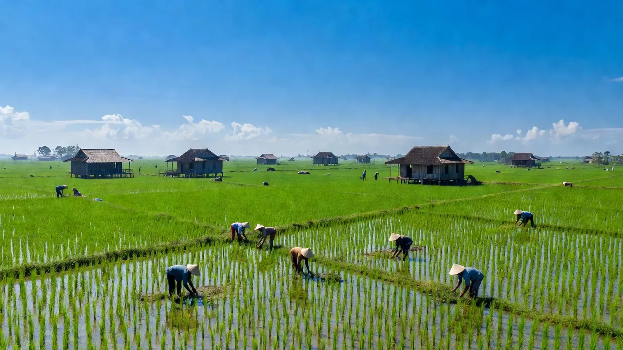 Xã Vị Bình, Huyện Vị Thuỷ, Tỉnh Hậu Giang