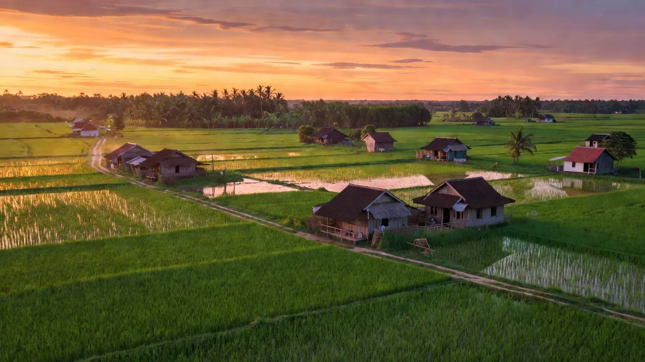 Xã Vị Trung, Huyện Vị Thuỷ, Tỉnh Hậu Giang