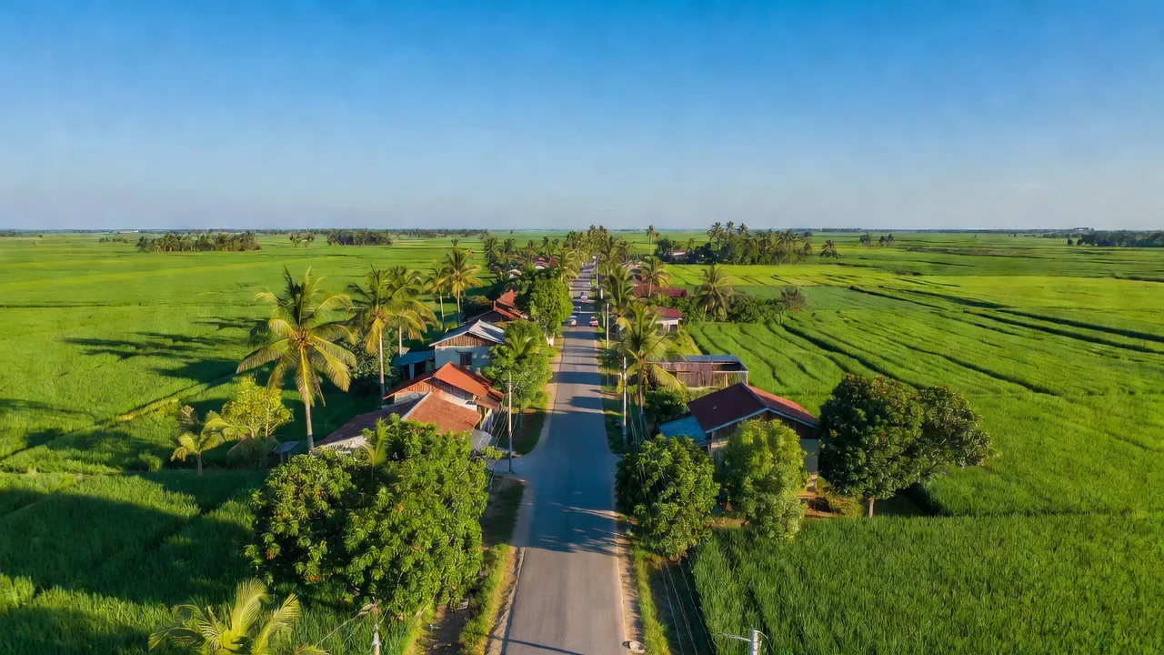 Cảnh quan xã Vĩnh Thuận Tây, huyện Vị Thuỷ, tỉnh Hậu Giang với đồng xanh và đường phố nhộn nhịp.