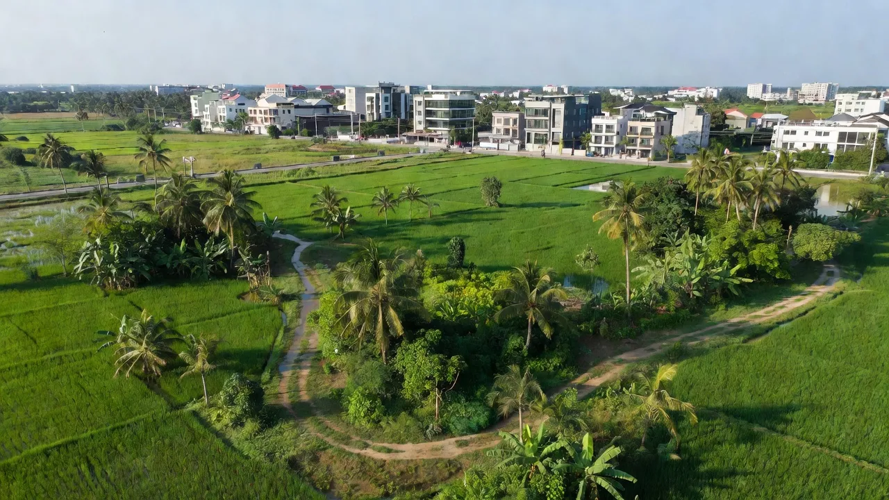 Xã Tân Kiên, Huyện Bình Chánh, Thành phố Hồ Chí Minh
