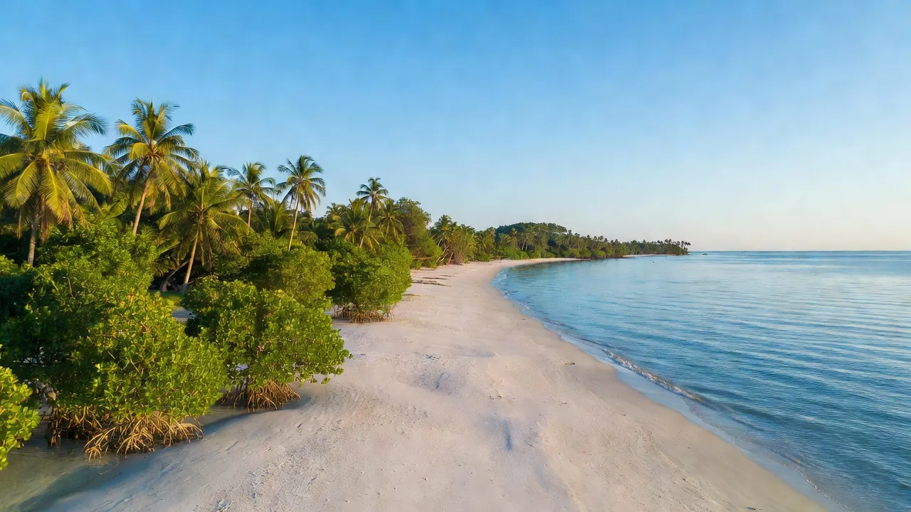 Bãi biển và thiên nhiên xanh tươi tại xã Long Hòa, huyện Cần Giờ, Thành phố Hồ Chí Minh.