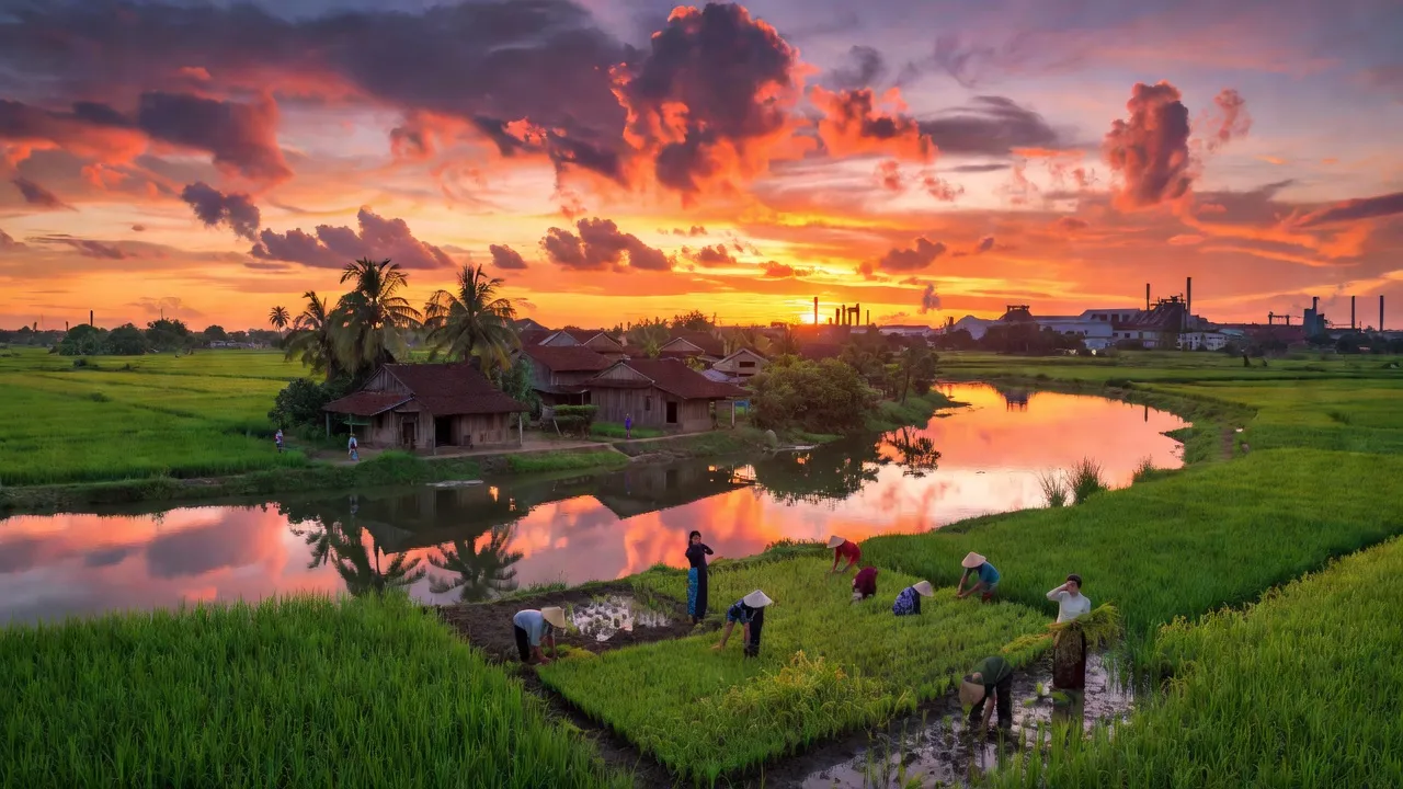Xã An Phú, Huyện Củ Chi, Thành phố Hồ Chí Minh