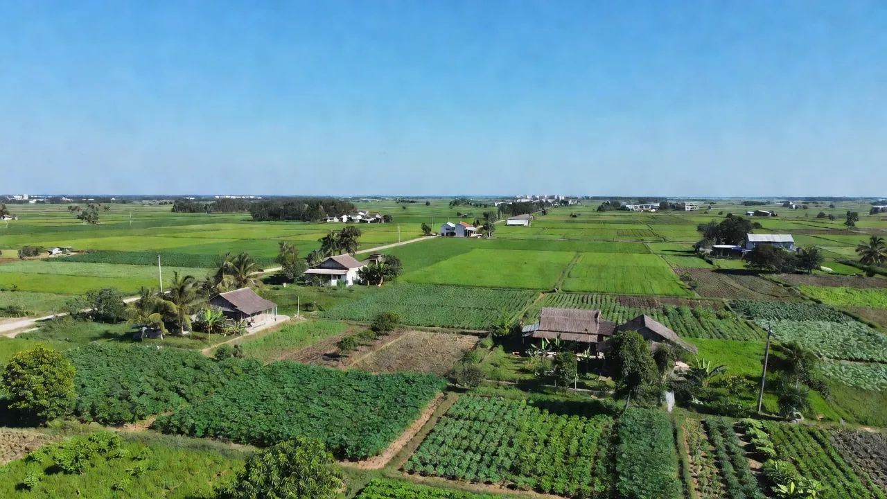 Xã Phú Hòa Đông, Huyện Củ Chi, Thành phố Hồ Chí Minh