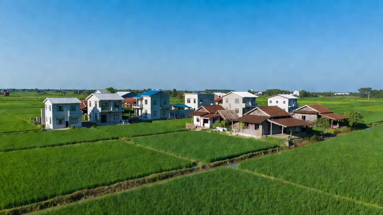 Khung cảnh xã Tân Thạnh Tây, huyện Củ Chi với cánh đồng xanh và nhà truyền thống.