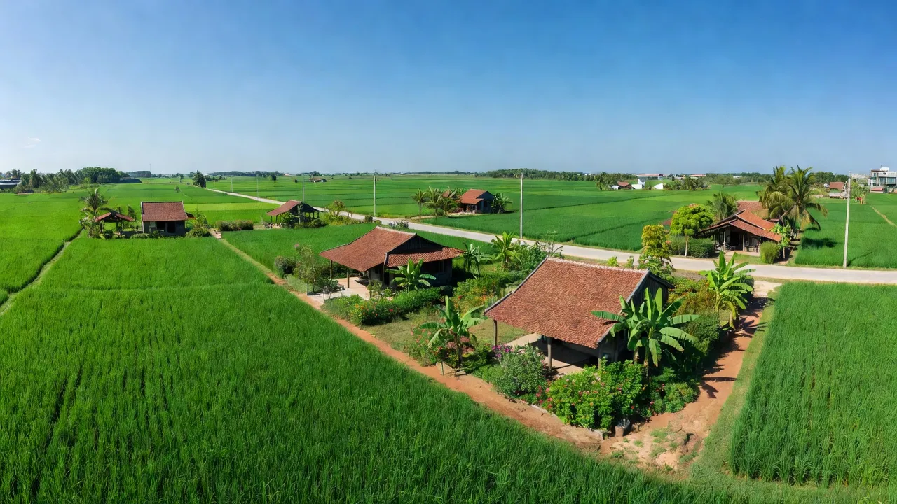 Thái Mỹ - hình ảnh minh họa 1
