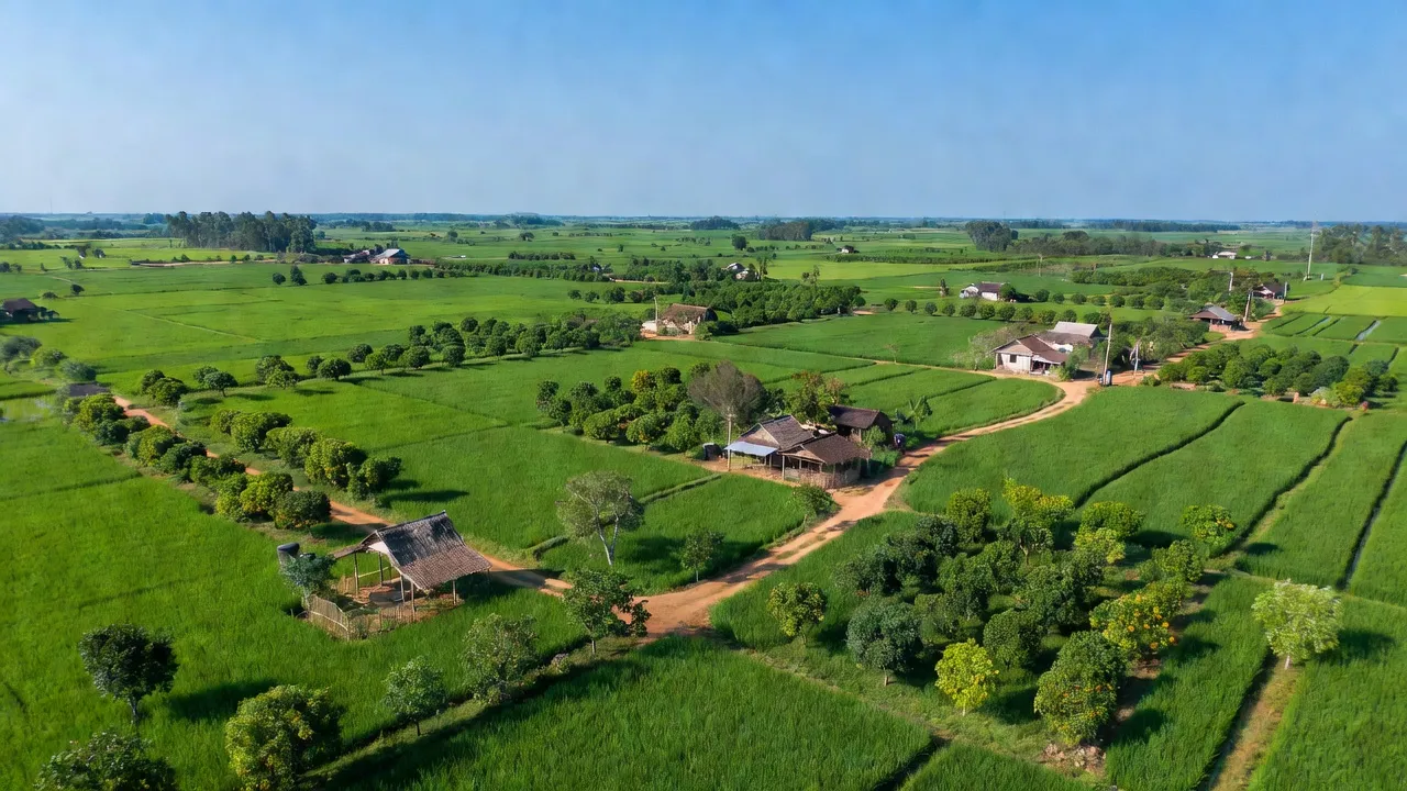 Khung cảnh nông thôn ở xã Trung Lập Hạ, huyện Củ Chi, thành phố Hồ Chí Minh, với cánh đồng xanh và vườn cây.