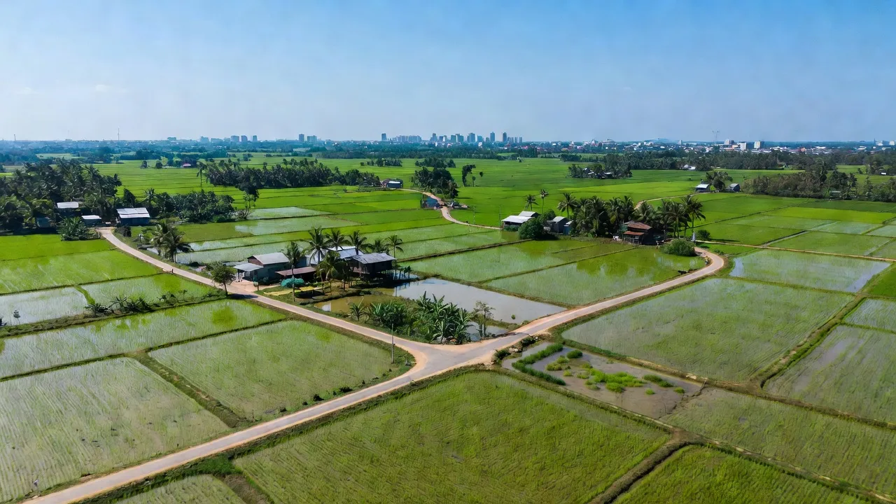 Xuân Thới Đông - hình ảnh minh họa 1