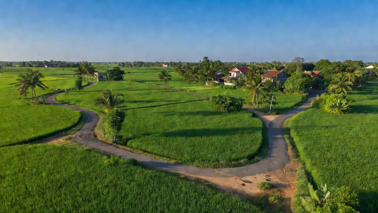 Khung cảnh bình yên xã Xuân Thới Thượng, huyện Hóc Môn, Thành phố Hồ Chí Minh với ruộng xanh tươi.